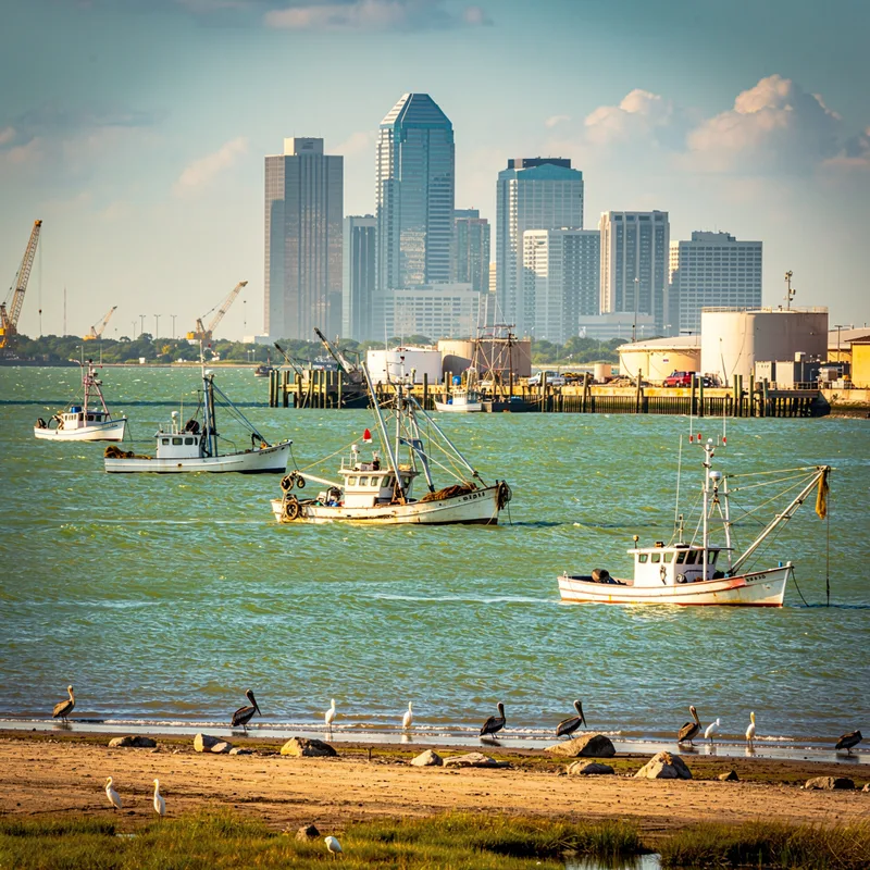 Galveston Bay