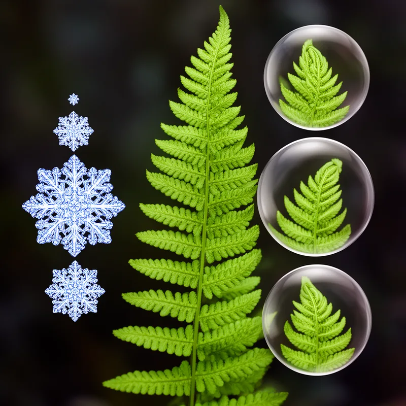 fractal