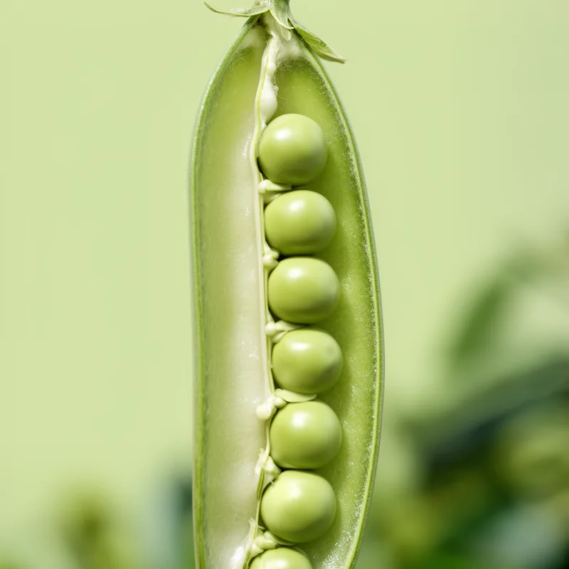 marginal placentation