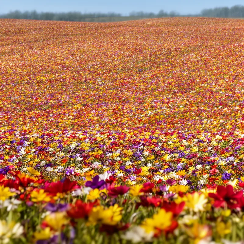 multitudinously