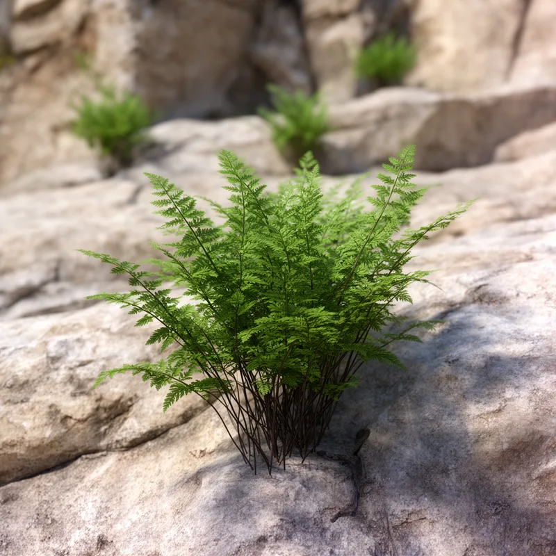Cheilanthes alabamensis
