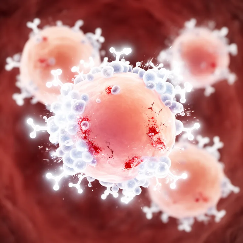 hyperimmune