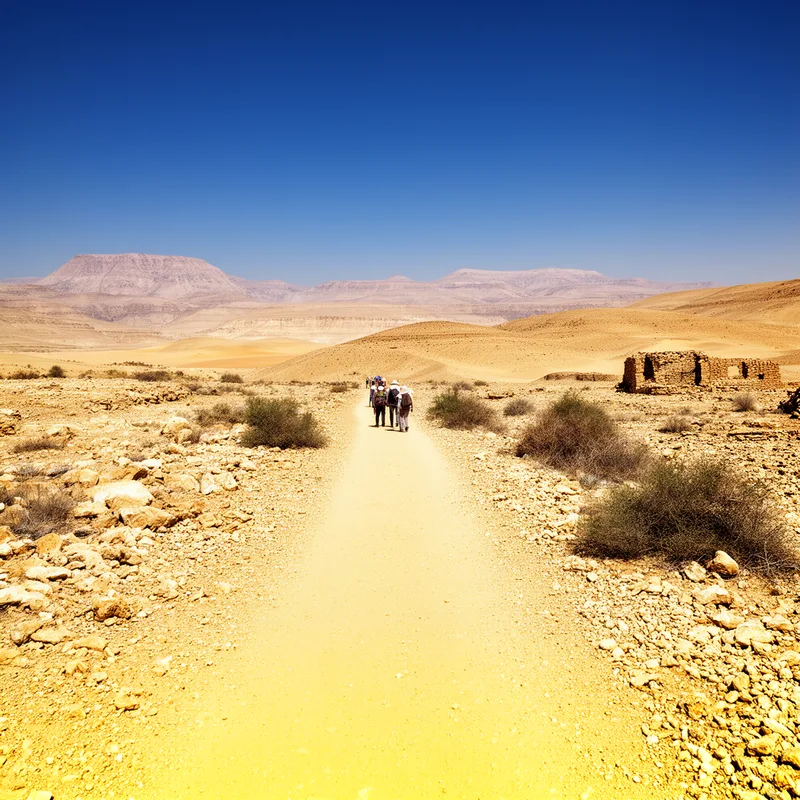 Negev Desert