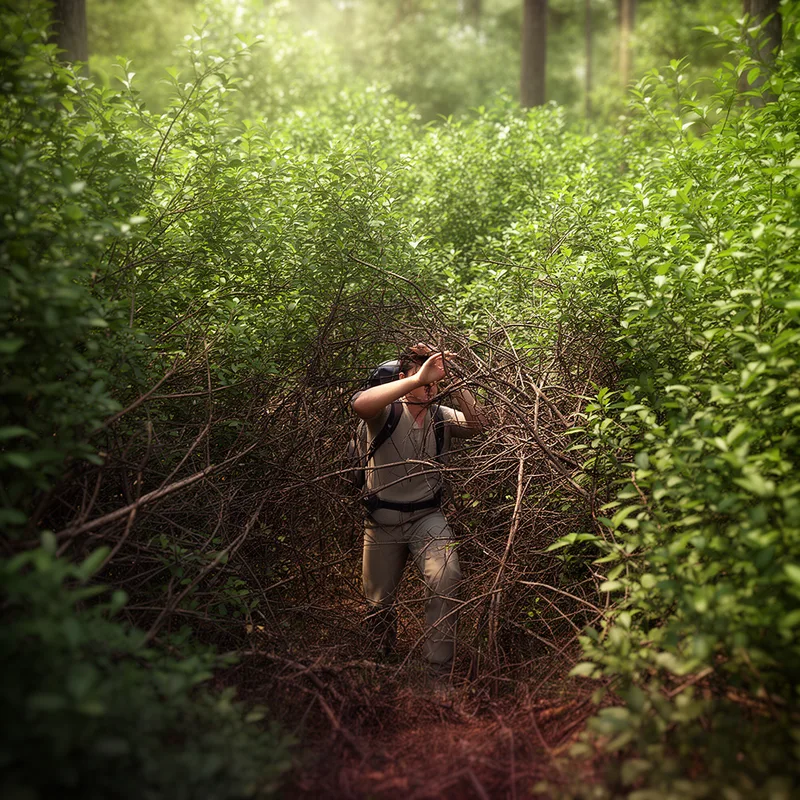 dense thicket
