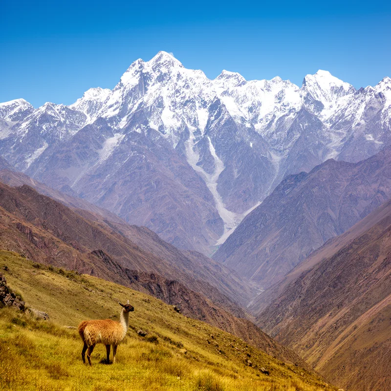 Andes