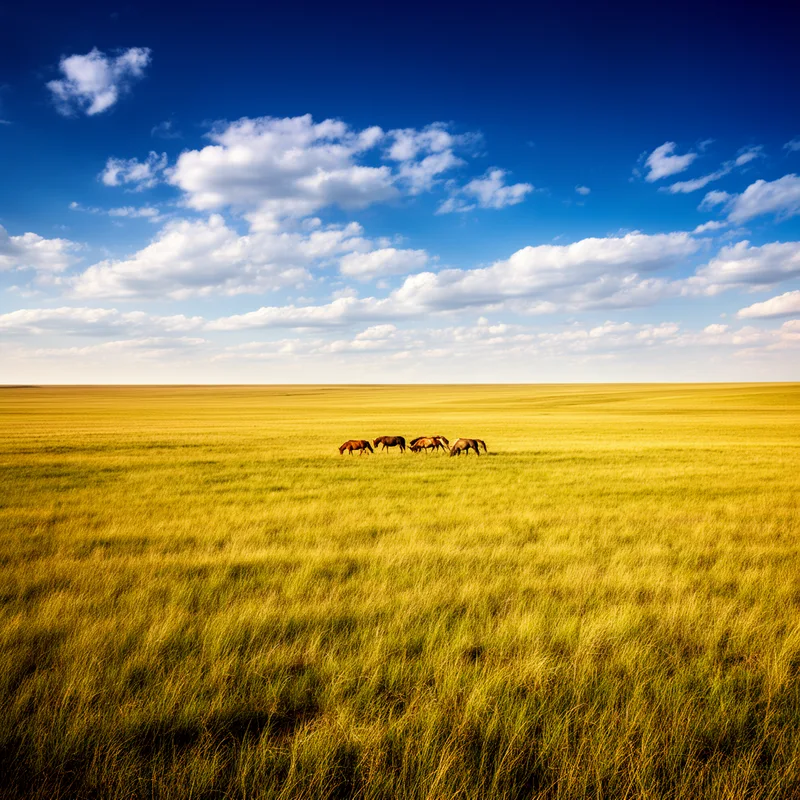 steppe