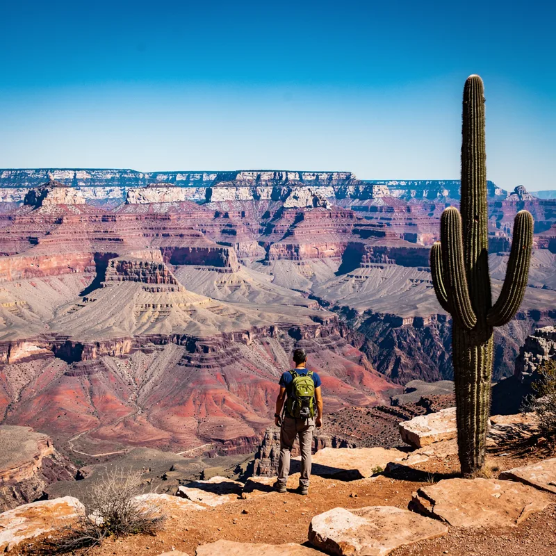 Arizona
