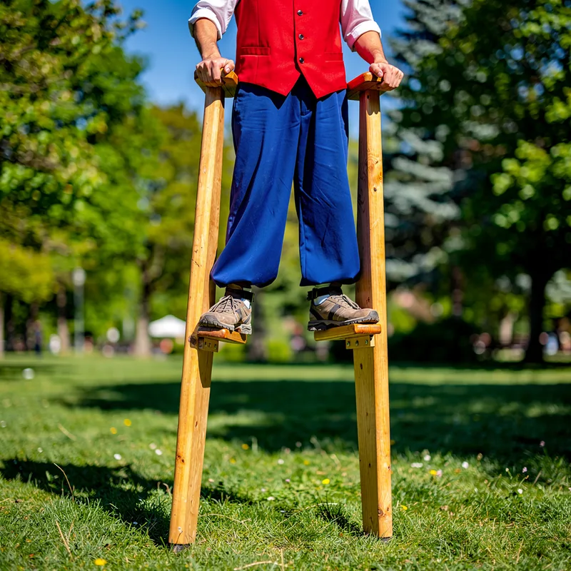 stilt