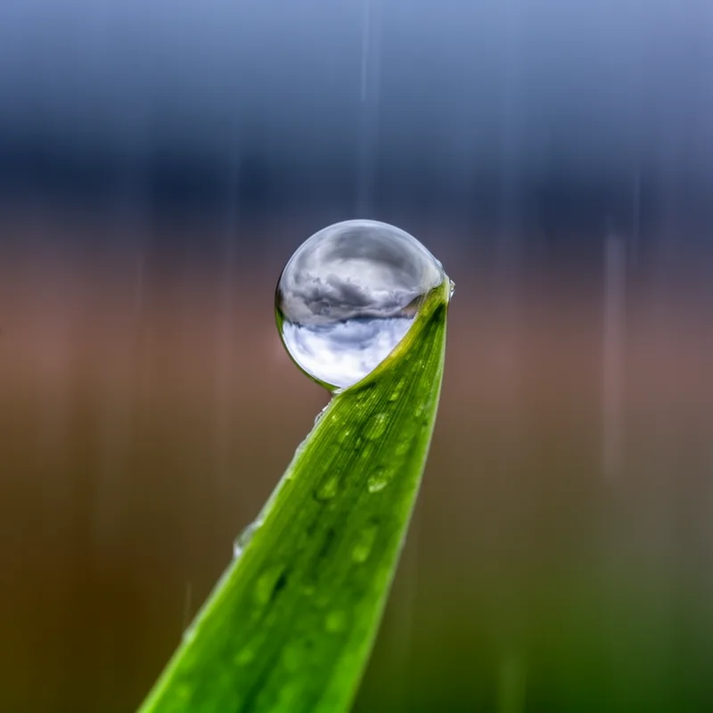 raindrop
