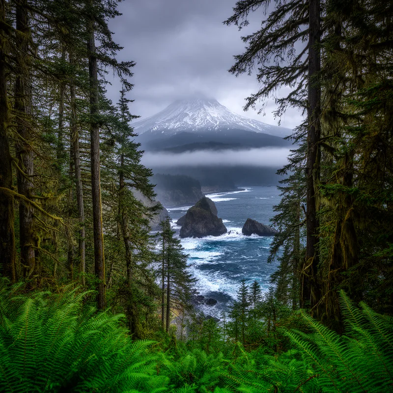 Pacific Northwest