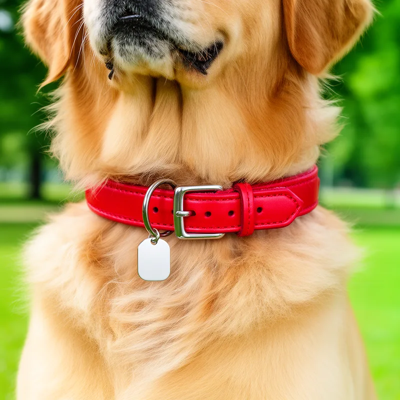 collar