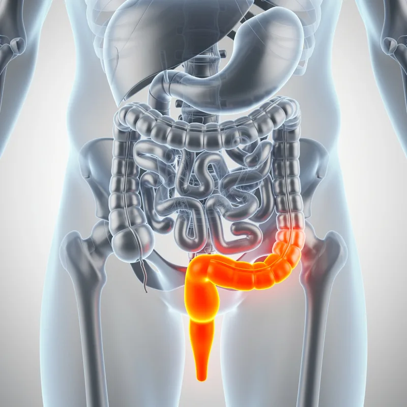 rectal