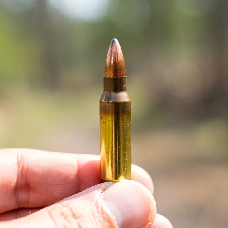 one shot