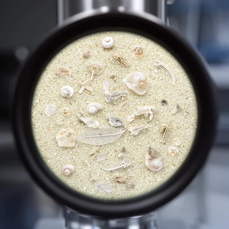 microfossil