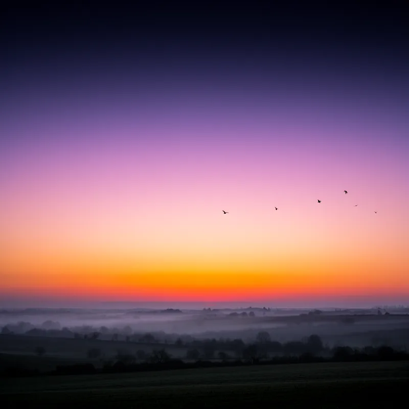 dawn