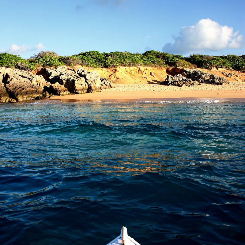dry land