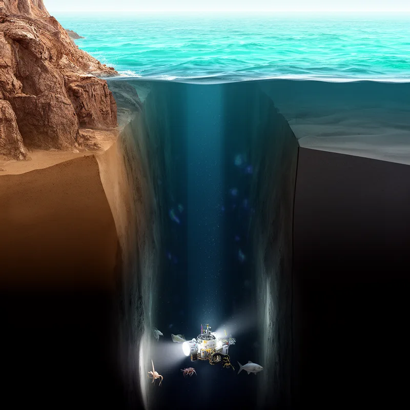 Atacama Trench