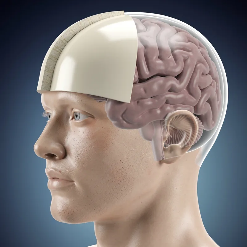 brainpan