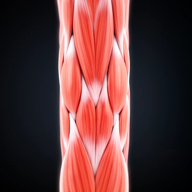 tissue