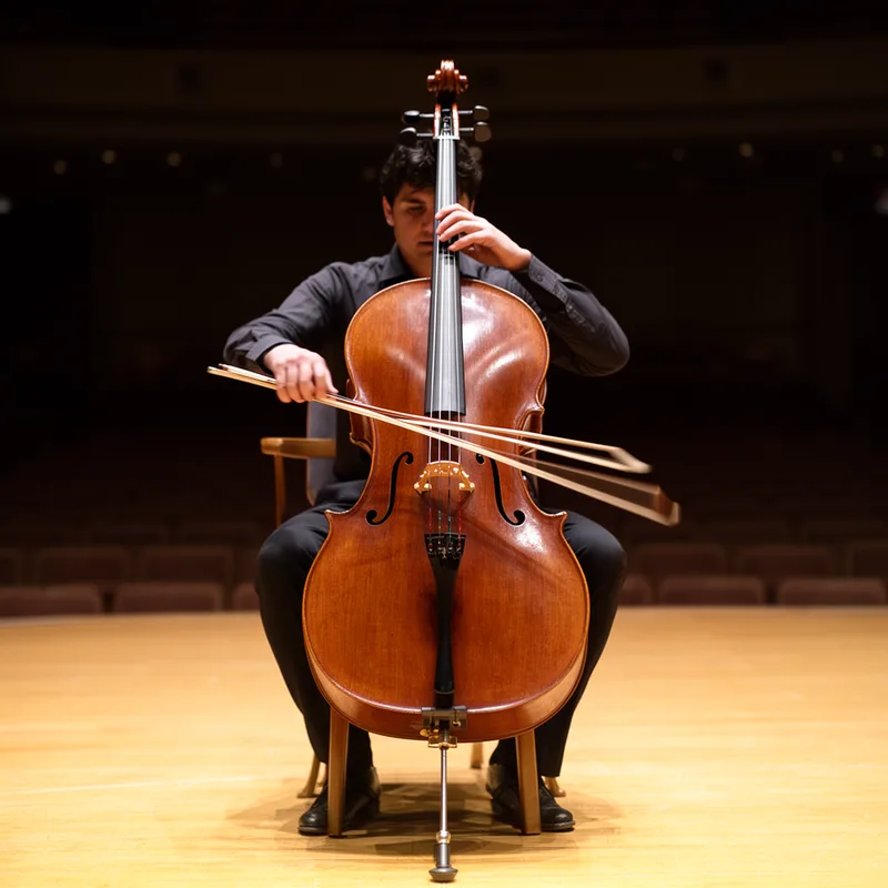 violoncello