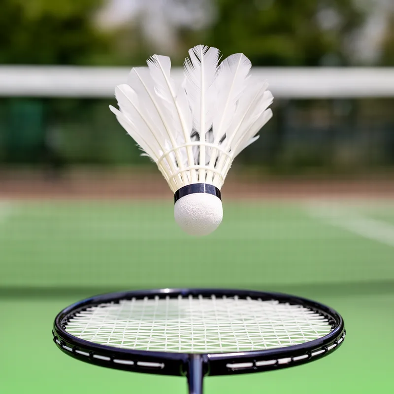 shuttlecock