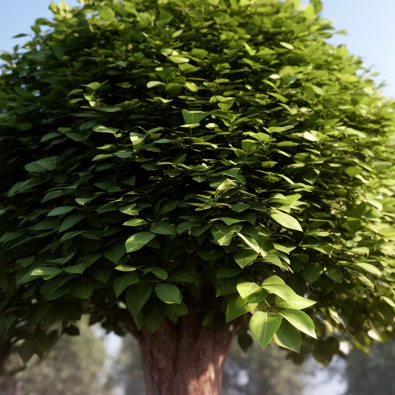 leafage