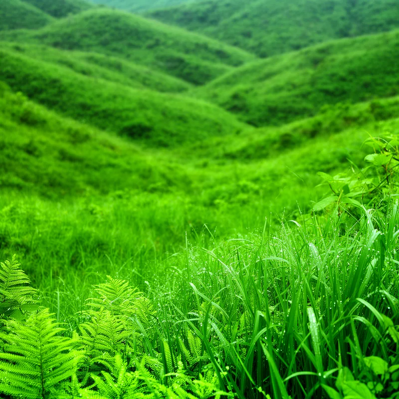 verdant