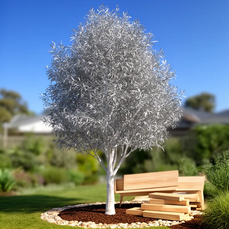 silver tree