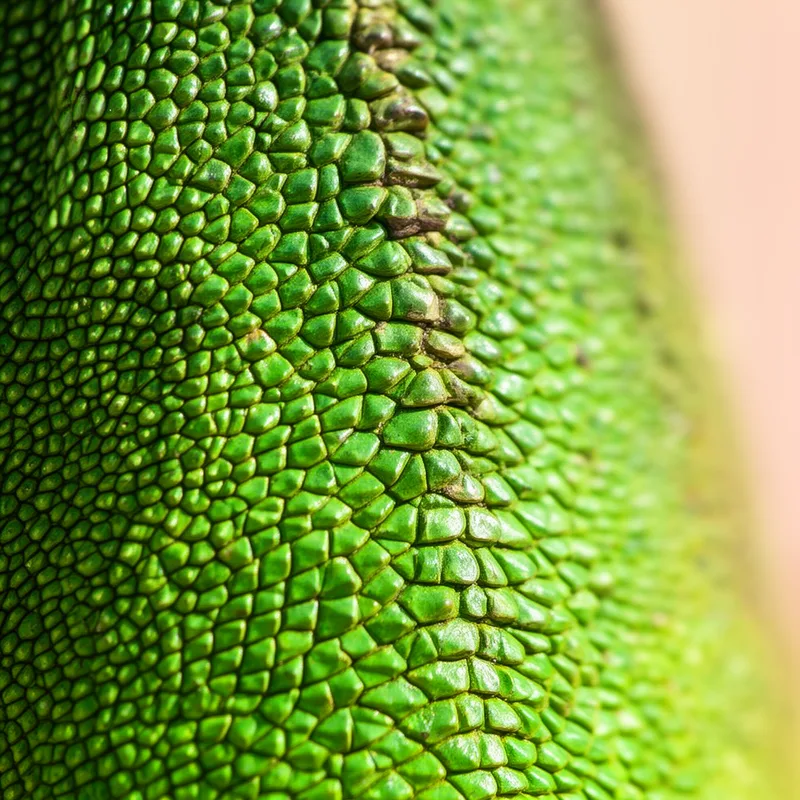 scaly