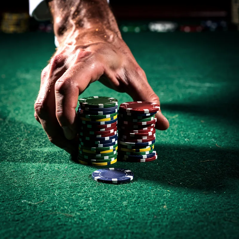 to bet on