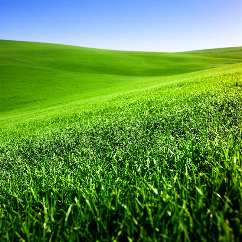 grassy