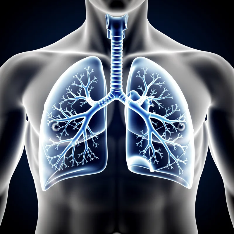 bronchial