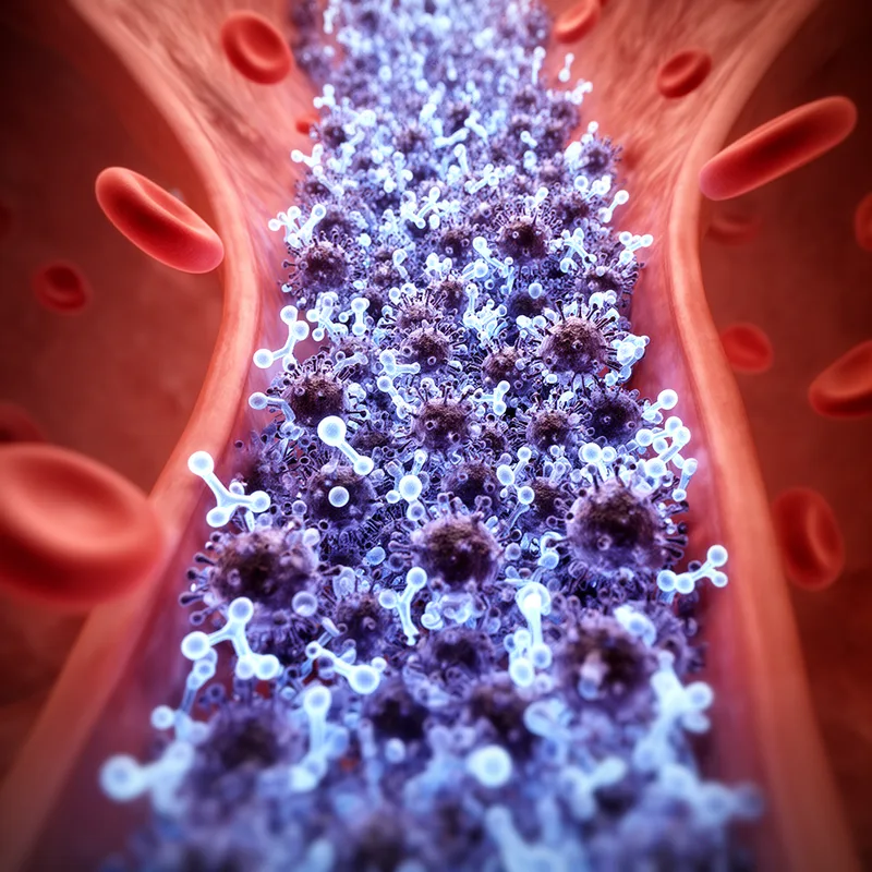 hyperimmune