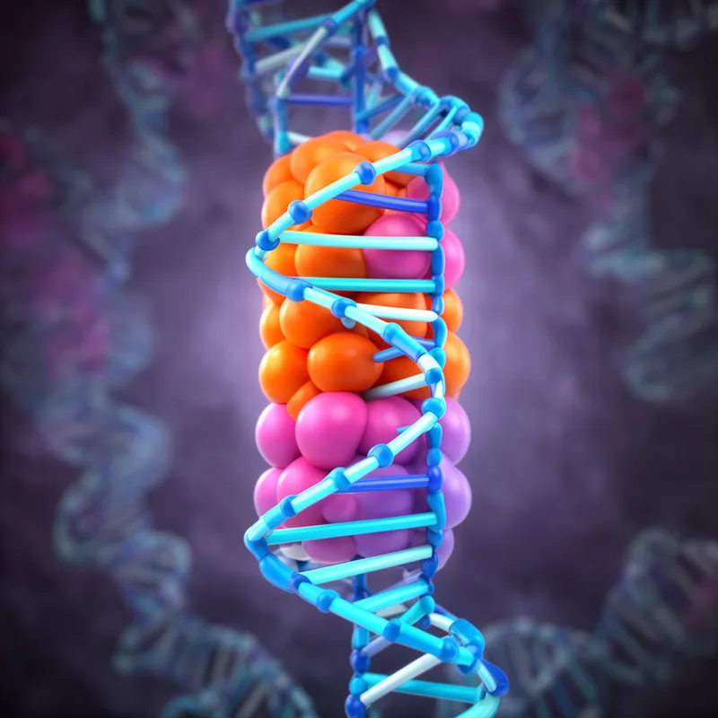 core histone