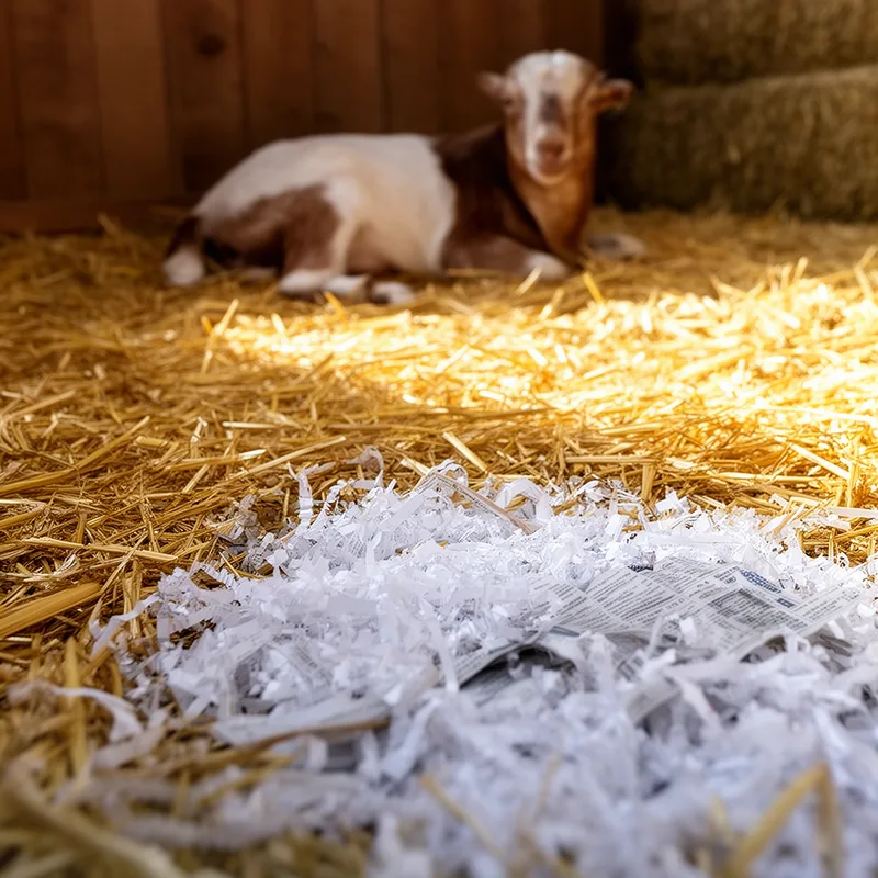 bedding material