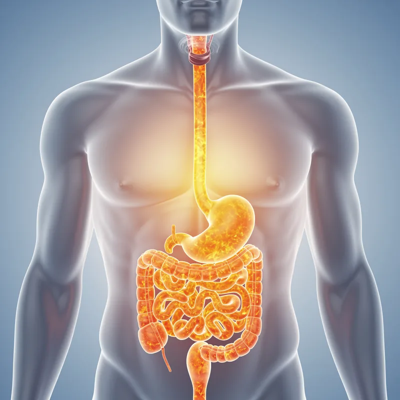 reflux