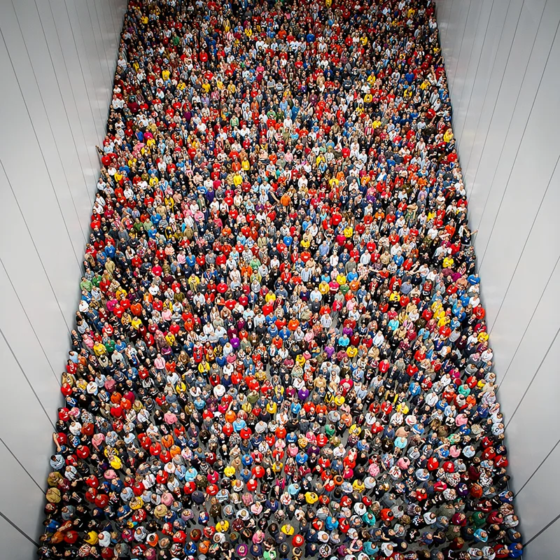wall-to-wall