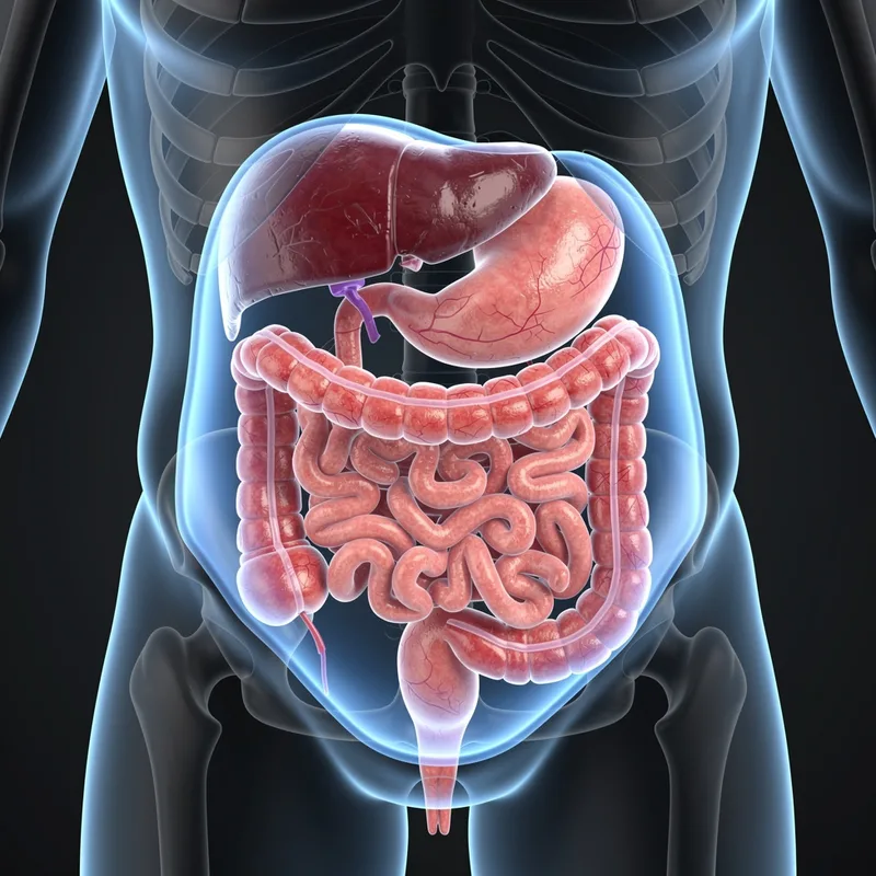 peritoneal
