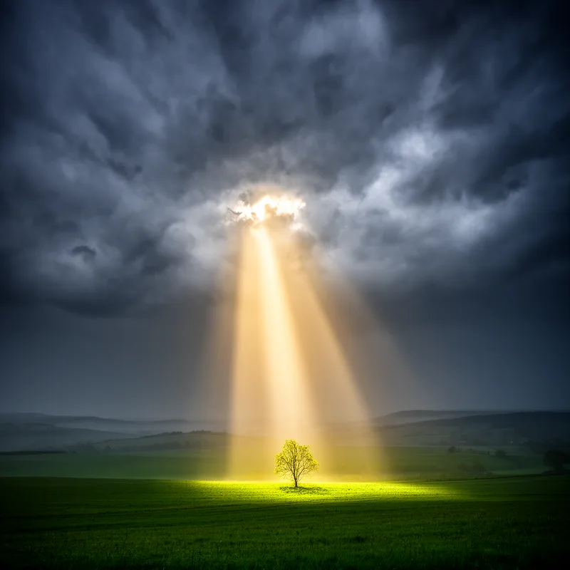 sunburst