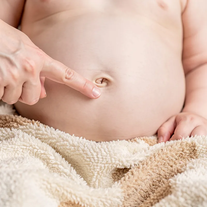 bellybutton