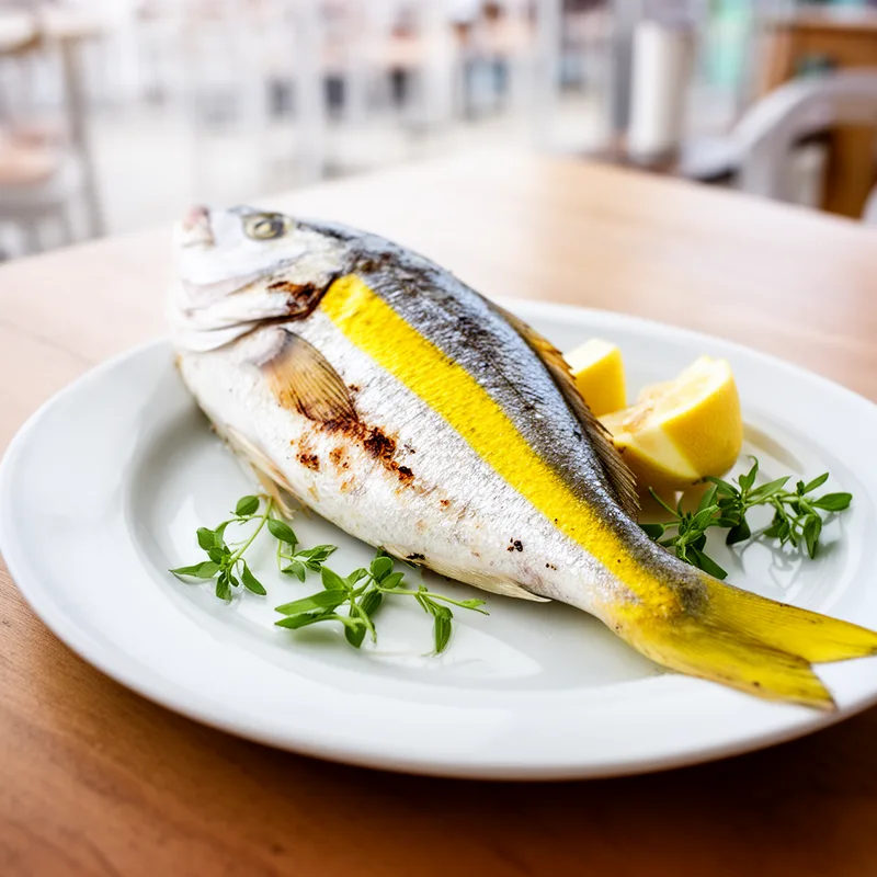 yellowtail snapper