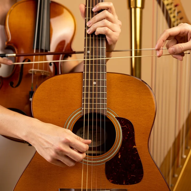 stringed
