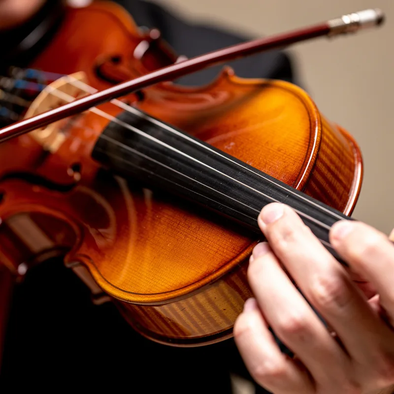 violin bow
