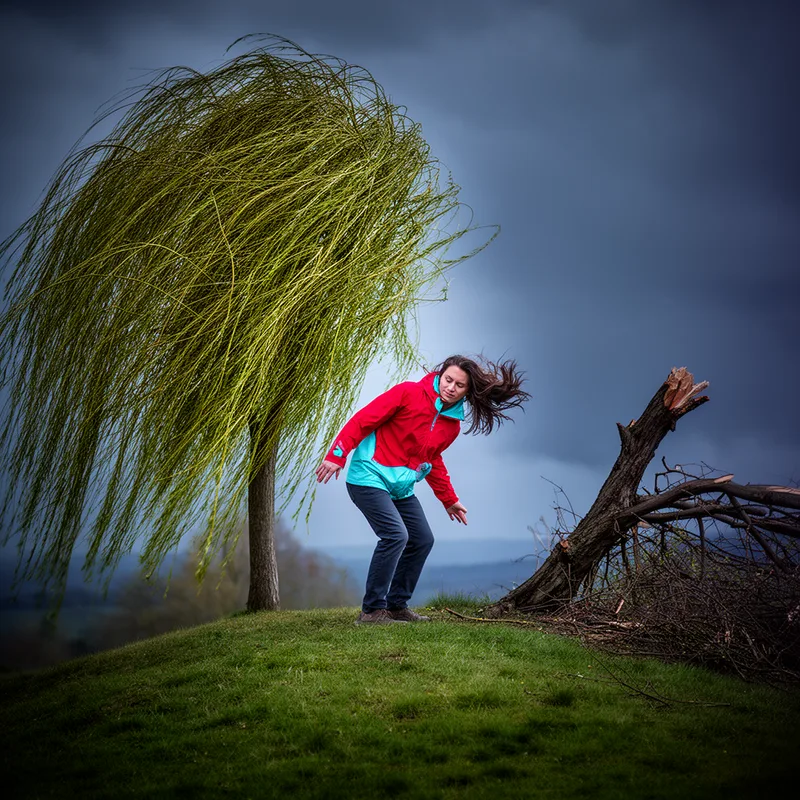 to bend like a willow