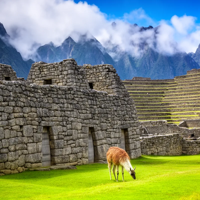 Incan