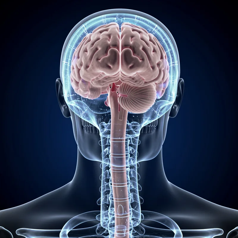 spinal fluid