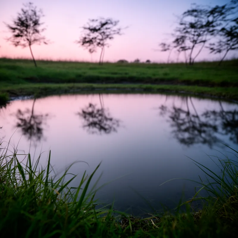 rippleless