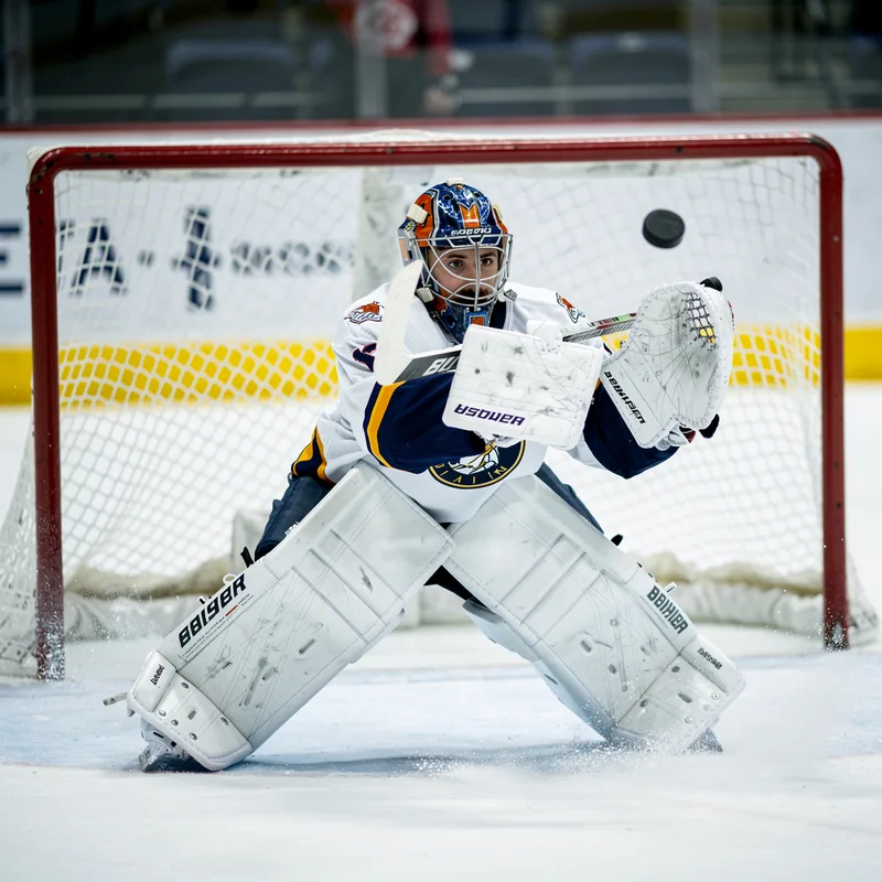 goaltender