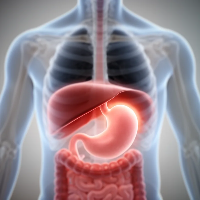 hiatal