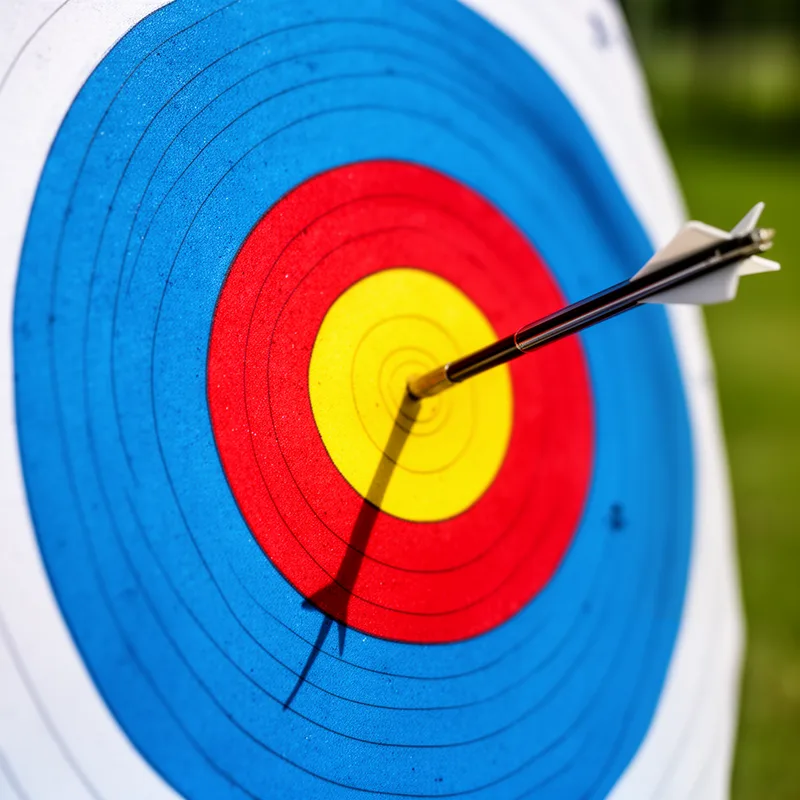 bull's-eye